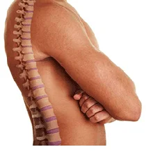 Biokinematik Therapie bei chronischen Schmerzen am Bewegungsapparat – ohne Operationen und Medikamente 4 Bandscheibenschmerz, Packi, Five, Therapie, Schweinfurt, Würzburg, Bayern, Rückenschmerz, Knieschmerzen, Biokinematik, neuro, muskulär, Osteopathie, Physiotherapie, Schmerzmedizin