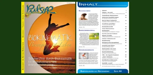 Biokinematik, Packi, Schmerzfrei, Pulsar, Beweglichkeitstraining, Muskeltraining, Muskelfunktionstraining, Arthrose, unspezifischer Rückenschmerz